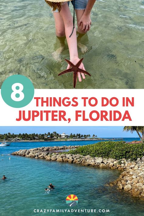 Contains 2 images, the top image shows a hand holding a starfish, and the bottom image shows swimming in a beautiful cove, and Things to do in Jupiter Florida. Things To Do In Jupiter Florida, Jupiter Island Florida, Jupiter Florida Things To Do In, Jupiter Beach Florida, Rv Travel Destinations, American Travel Destinations, Jupiter Beach, Best Family Beaches, Florida Family Vacation