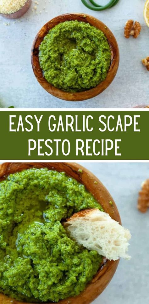 Not sure what to do with the garlic scapes you got in your CSA or at the farmer's market? Make my super easy garlic scape pesto - ready in less than 10 minutes! Delicious on bread, pasta, veggies, proteins, aka everything. Garlic Scape Pesto Recipes, Garlic Scapes Recipes, Scape Recipes, Scape Pesto Recipe, Scape Pesto, Garlic Scape Pesto, Pasta Veggies, Modern Homestead, Garlic Scapes