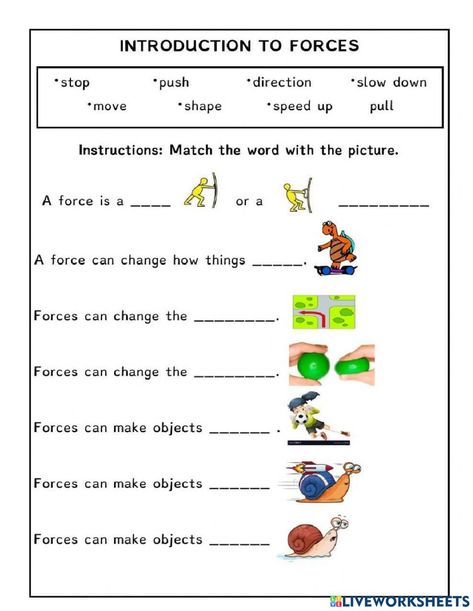 Force Worksheet, Types Of Forces, States Of Matter Worksheet, Scientific Method Worksheet, Plant And Animal Cells, Matter Worksheets, Basic English Sentences, 5th Grade Writing, Experimental Design