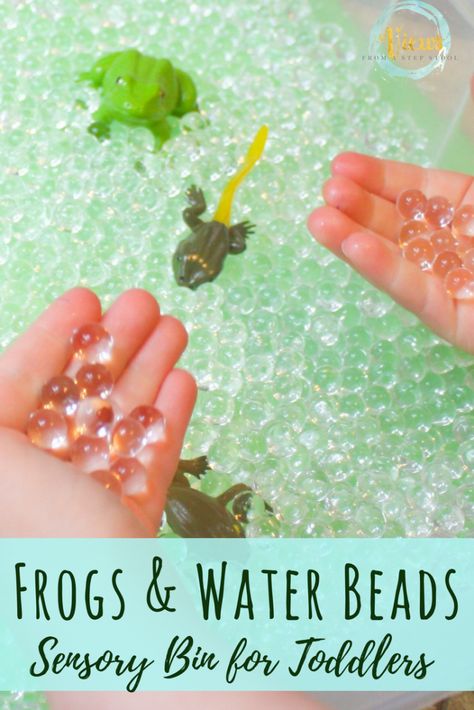 Frog Life Cycle Eyfs, Frog Sensory Bin, Bead Frog, Pond Life Theme, Frogs Preschool, Frogs For Kids, Life Cycles Preschool, Science Activities For Toddlers, Life Cycle Of A Frog