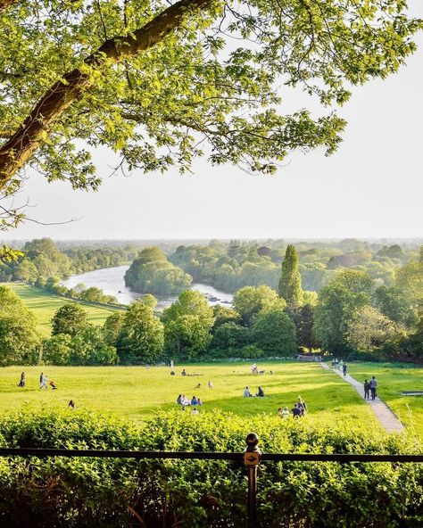 Secret London on Instagram: “Heaven on earth 😍🌿 (📸 by @ourcrazylondon) • • • • • • • • • • • #london #richmondhill #londonsummer #mysecretlondon⁣ #londonparks…” Richmond England, Summer In London, Richmond London, Secret London, Richmond Upon Thames, Last Days Of Summer, London Summer, Last Day Of Summer, Richmond Hill