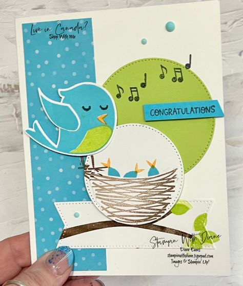 Sweet Songbirds, Stampin Up Birthday Cards, Owl Card, Stampin Up Project, Stampin Up Catalog, Spring Cards, Bird Cards, Fancy Fold Cards, Card A