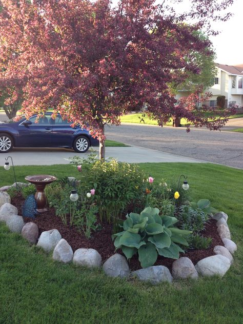 Front yard garden. Rock boarder, burgundy flowering tree, various perennials. Front Yard Landscaping With Tree In Middle, Front Lawn Garden Bed, Flower Bed With Tree In Middle, Driveway Appeal, Rocks Around Tree, Rock Borders, Tree Landscaping, Tree Border, Landscaping Around Trees