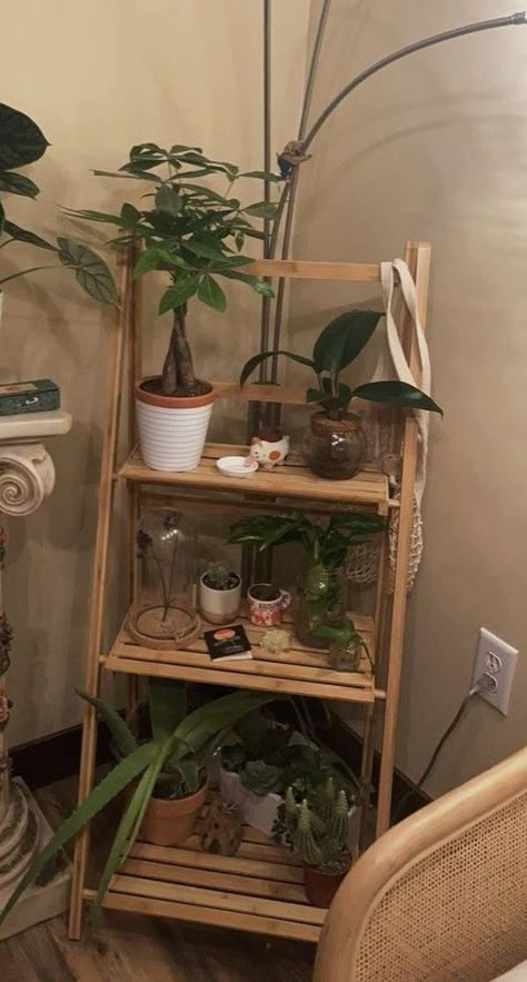 Aethstetic Room Idea Vintage, Beachy Alternative Aesthetic, Shelf Of Plants, Earthy Grunge Aesthetic Room, Room Inspo Nature, Vintage Clean Room, Botanical Room Aesthetic, Cute Vintage Room Ideas, Hippy Aesthetic Room