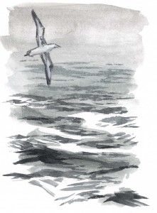 How to Draw Water: Open Ocean - John Muir Laws John Muir Laws, How To Draw Water, Draw Water, Ocean Drawing, Sky Gif, Sketching Ideas, Water Drawing, Open Ocean, Tinta China