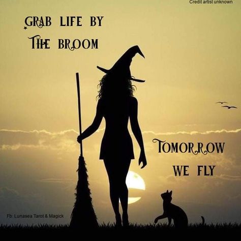 Witchy Quotes, Moon Stars Art, Witches Night Out, Easy Love Spells, Witch Pictures, Image Halloween, Witch Quotes, Witch Tattoo, Witchcraft Spell Books