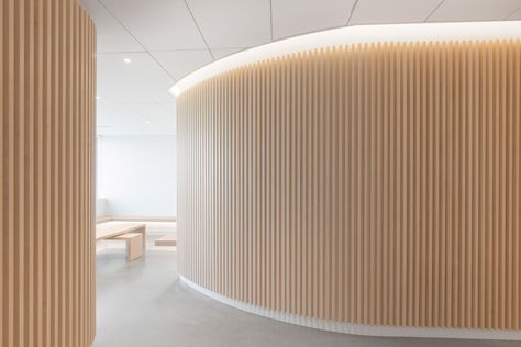 Go Orthodontistes Clinic by Natasha Thorpe Design Vida Glow, Curved Wall, Wood Slat Wall, Wood Architecture, Curved Wood, Curved Walls, Clinic Design, Cottage Interiors, Slat Wall