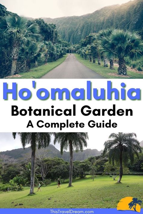 Ho'omaluhia Botanical Garden and entrance Botanical Garden Oahu, Garden Displays, Oahu Vacation, Hawaiian Travel, Oahu Travel, Botanical Gardens Wedding, Unusual Plants, Big Island Hawaii, Oahu Hawaii