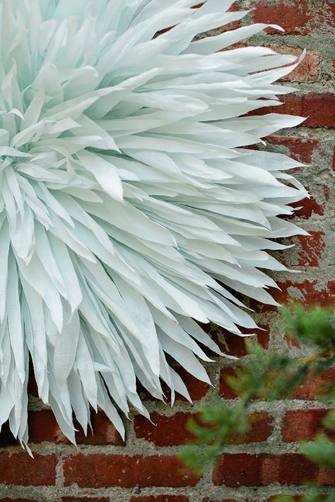 DIY Giant Paper Peonies and Spider Mums ⋆ Ruffled Giant Butterfly Diy, Large Tissue Paper Flowers Diy, Large Flowers Diy, Paper Peony Diy, Tissue Paper Flowers Easy, Hyacinth Bouquet, Large Paper Flowers Diy, Giant Flowers Diy, Paper Petals