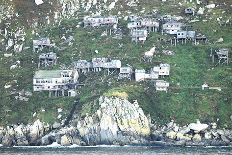 Ukivok is an abandoned Inupiat village on King Island Hashima Island, Alaska Salmon Fishing, Reclaimed By Nature, Ross Island, Abandoned Village, Alaska Fishing, Abandoned Town, Deserts Of The World, Island Town