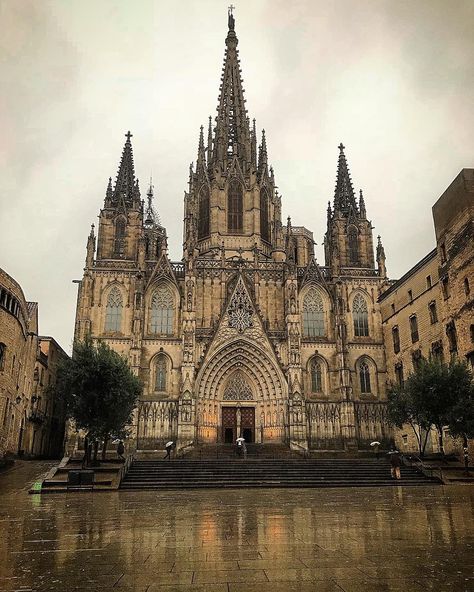 Cathedral Of Barcelona, Places In Barcelona, Pretty Architecture, Barcelona Aesthetic, City Rain, Barcelona Architecture, Cathedral Basilica, Spain Photography, Pipe Organ