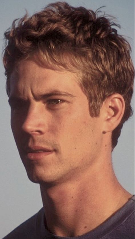 Paul Walker Family, Paul Walker Tribute, Brian Oconner, Paul Walker Pictures, Rip Paul Walker, Paul Walker Photos, Joy Ride, Paul Walker, Fast And Furious