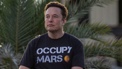 SpaceX's Starship has 'decent chance' of success on upcoming flight, Elon Musk says Vladimir Poutine, Tesla Ceo, World Government, New Twitter, William Shatner, Tesla S, Poutine, Warren Buffett, Left Wing