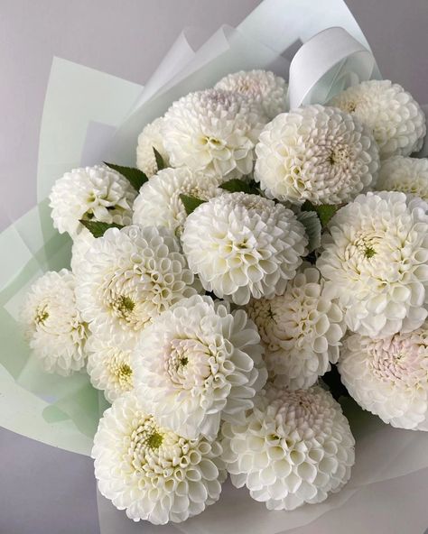 Dhalia Aesthetic Bouquet, Dalia Wedding Bouquet, White Dahlia Bouquet, Dalia Flower, Bondi Boost, Dahlia Bouquet, House Smell Good, Chrysanthemum Flower, House Smell