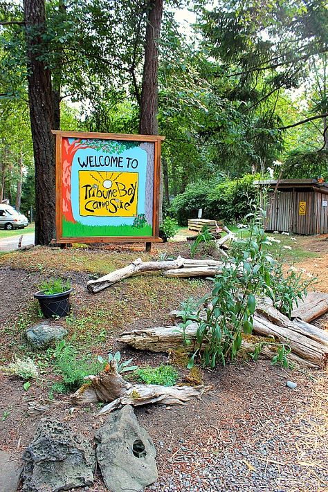 Tribune Bay Campground Hitting an emotional low on Hornby Island via The World on my Necklace Hornby Island, White Sand Beach, Canada Travel, Fun In The Sun, White Sand, Travel Itinerary, British Columbia, Where To Go, Travel Inspiration