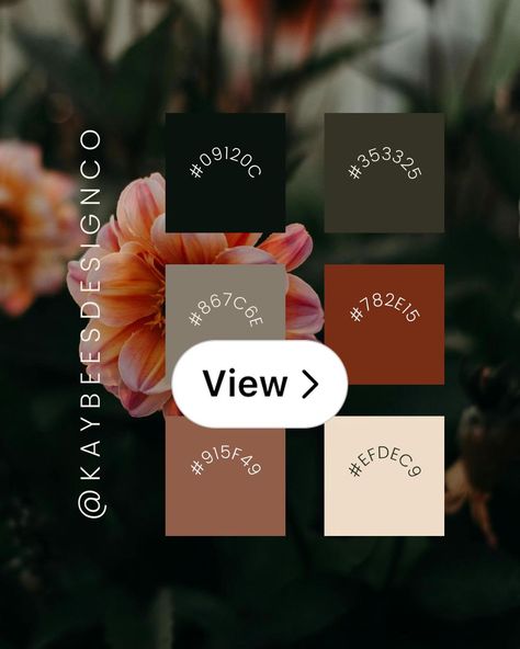 Lemon8 · Moody Color Palettes to Consider for Your Website  · @Kayla Bressler Brand Color Palette Ideas, Website Color Schemes, Brand Color Palette, Creating Content, Open App, Neutral Colour Palette, Marketing Company, Brand Colors, Color Theory