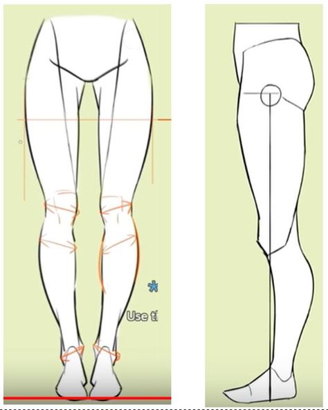 Leg Reference, Leg Anatomy, Female Anatomy Reference, Drawing Legs, Drawing Female Body, Drawing Body Poses, Anatomy Tutorial, Human Anatomy Drawing, Body Drawing Tutorial