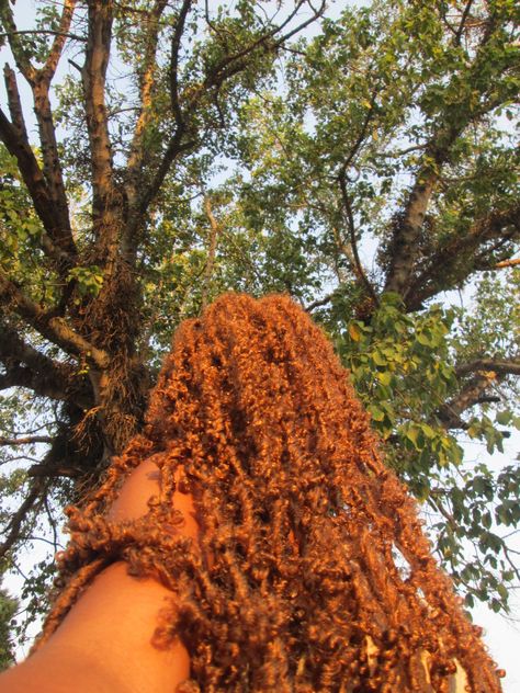 Long Butterfly Locs With Color Blonde, Honey Brown Butterfly Locs, Orange Butterfly Locs, Butterfly Locs With Color Brown, Light Brown Butterfly Locs, Butterfly Locks Long, Butterfly Locs Aesthetic, Long Butterfly Locs With Color, Color Butterfly Locs