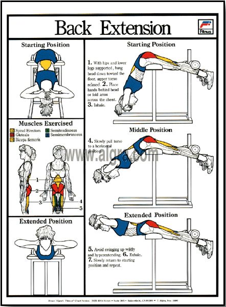 Back Extension Poster | by Bruce Algra Back Extension Workout, Best Bum Exercises, Back Extension Exercises, Extension Exercises, Tummy Toning, Fitness Posters, Anatomy Posters, Exercise Poster, Back Extension