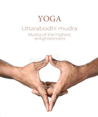 Health Benefits of Yoga Mudra: Benefits of Uttarabodhi Mudra Meditation Mudras, Surya Mudra, Vayu Mudra, Prana Mudra, Prithvi Mudra, Uttarabodhi Mudra, Yoga Mudra, Flying Lotus, Gyan Mudra