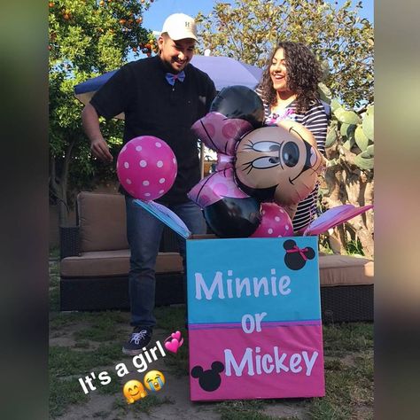 Baby Shower Minnie Mouse, Disney Gender Reveal, Gender Reveal Box, Gender Reveal Baby Shower Themes, Baby Gender Reveal Party Decorations, Mickey Mouse Baby Shower, Disney Balloons, Pregnancy Gender Reveal, Gender Reveal Party Theme