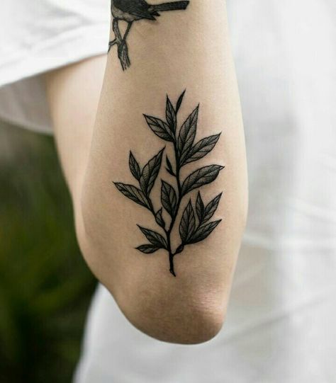 North Star Tattoos, 2023 Tattoo, Traditional Black Tattoo, Plant Tattoo, Black Tattoo, Nature Tattoos, Star Tattoos, Old School Tattoo, Japanese Tattoo