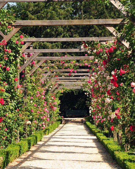 Parc de Bagatelle, Paris French Formal Garden, Famous Gardens, Most Beautiful Gardens, Garden Jewelry, Formal Gardens, French Garden, Public Garden, Garden Tours, South Of France