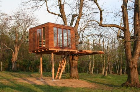 A blog about the lifestyle of shedworkers and those who work from garden offices and other shedlike atmospheres Pole House, Tiny House Blog, Treehouse Cabins, Tree House Plans, Tree Fort, Cool Tree Houses, House On Stilts, Meditation Garden, Tree House Designs