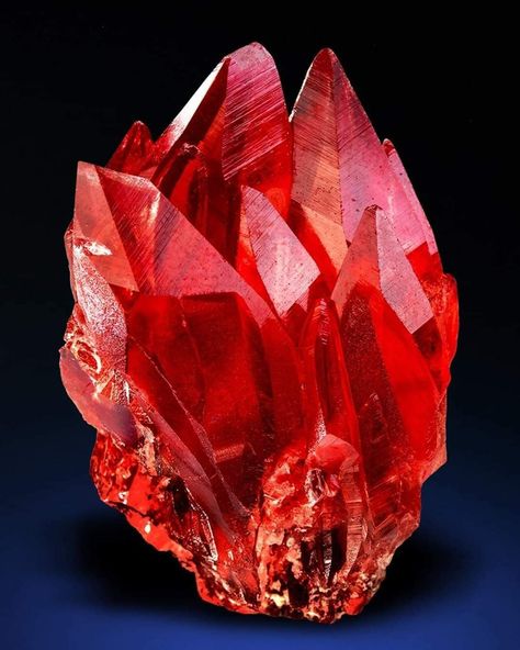 Fine Minerals, Pretty Rocks, Beautiful Rocks, Rock Chic, Red Gemstones, Mineral Stone, Minerals And Gemstones, Rocks And Gems, Red Crystals