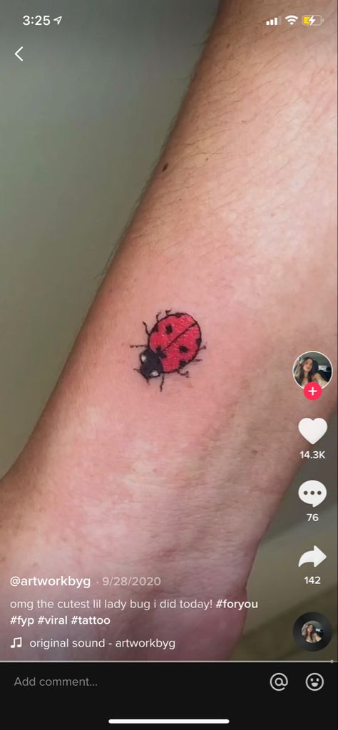 Acorn Tattoo, Red Bug, Ladybug Tattoo, Tattoo On Shoulder, Lady Bug Tattoo, Bug Tattoo, Small Lady, Tattoo Inspo, Tattoo Styles