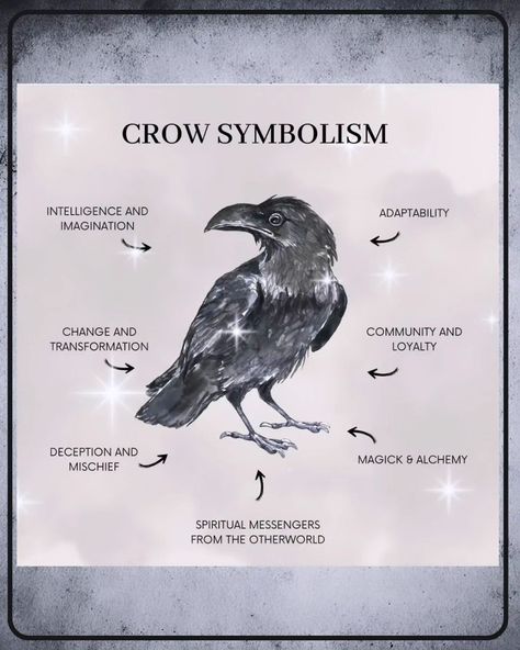 Crow symbolism by @teaandrosemary **The Symbolism of Crows 🐦✨** Crows are often seen as symbols of intelligence, adaptability, and transformation. In many cultures, they represent mystery and magic, serving as messengers between worlds. Their presence can signify change or the need for introspection. 🌌 Know someone who loves crows? Tag them! 🖤✨ #wiccansofinstagram #witchlife #witchesofinstagram #witch #witchcraft #wicca #wiccan #pagan #spiritual #spiritualawakening #Spirituality #witches... Crows Meaning Witchcraft, Number Of Crows Meaning, Crow Spiritual Meaning, Crow Symbolism, Crow Magic, Crow Meaning, Spiritual Meaning, Names With Meaning, Crows