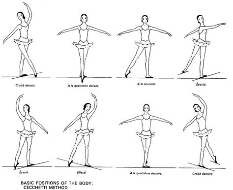 Ballet Positions | ballet 8 positions of the body large Ballet Dance Moves, Ballet Terms, Ballet Basics, Beginner Ballet, Dance Coloring Pages, Ballet Body, Ballet Positions, Ballet Lessons, Teach Dance