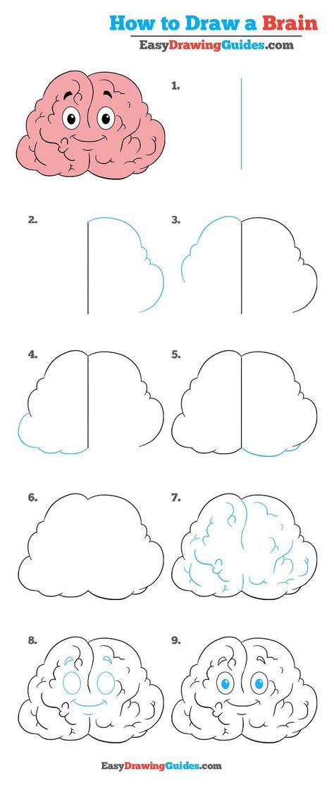 Learn How to Draw a Brain: Easy Step-by-Step Drawing Tutorial for Kids and Beginners. #Brain #drawing #tutorial. See the full tutorial at https://easydrawingguides.com/how-to-draw-a-brain-really-easy-drawing-tutorial/. Brain Drawing Tutorial, Draw A Brain, Preschool Drawing, Brain Painting, Star Wars Art Drawings, Happy Brain, Drawing 101, Brain Drawing, Brain Art