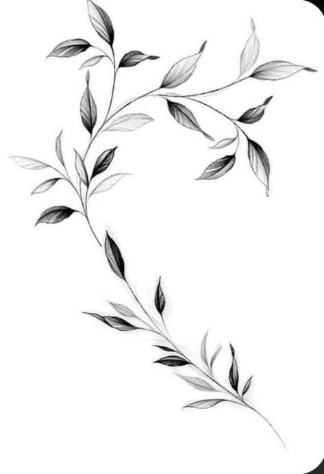 Flower And Leaf Tattoo Design, Branch Tattoo Men, Linework Tattoo Sleeve, Vine Tattoo Men, Leaf Branch Tattoo, Flower Branch Tattoo, Vine Tattoo Design, Leaves Tattoo Design, Rose Vine Tattoo