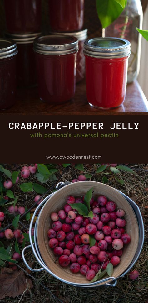 Crab Apple Pepper Jelly Recipe, Crabapple Hot Pepper Jelly, Crab Apple Jalapeno Jelly, Crabapple Pepper Jelly Recipe, Crabapple Jalapeno Jelly Recipe, Spicy Crabapple Jelly Recipe, Cranberry Pepper Jam, Crab Apple Hot Pepper Jelly, Crabapple Jelly