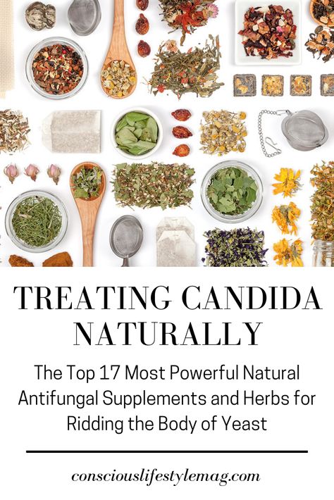 Treating Candida Naturally: In order to eliminate harmful candida overgrowth, it is essential to use some of these natural antifungal supplements and herbs to reduce yeast in the body. #Candida #HolisticHealth #ConsciousLifestyleMag Natural Antifungal Remedies, Anti Fungal Foods, Antifungal Herbs, Antifungal Diet, Yeast Overgrowth Diet, Herbs For Yeast Infection, Vitamins For Yeast Infections, Natural Remedies For Yeast Infection In Women, Anti Fungal Herbs