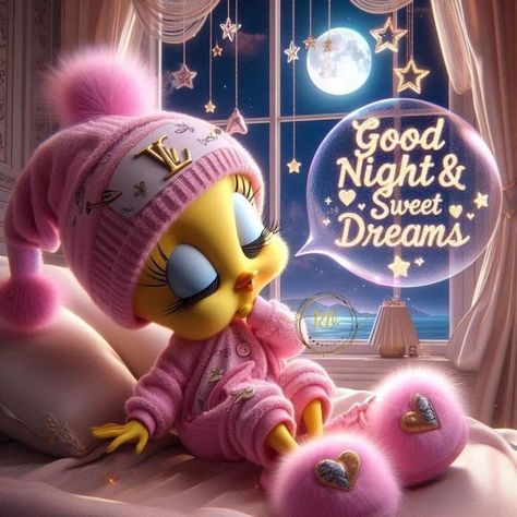 Goodnight Pictures Cute, Goodnight Stickers, Quotes Quirky, Goodnight Pictures, Good Night For Him, Tweety Pie, Good Night Qoutes, Good Night Friends Images, Grand Rising