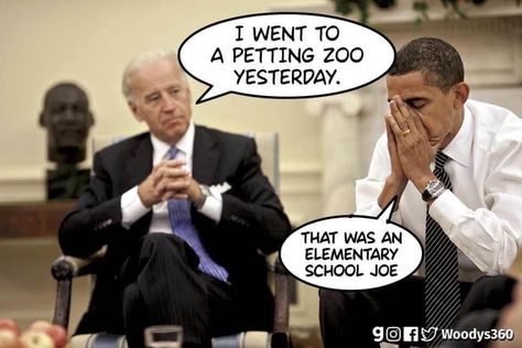 Joe And Obama, Liberal Humor, Liberal Memes, Politically Incorrect Humor, Conservative Humor, Petting Zoo, Zoo Animals, Funny Laugh, Funny Photos