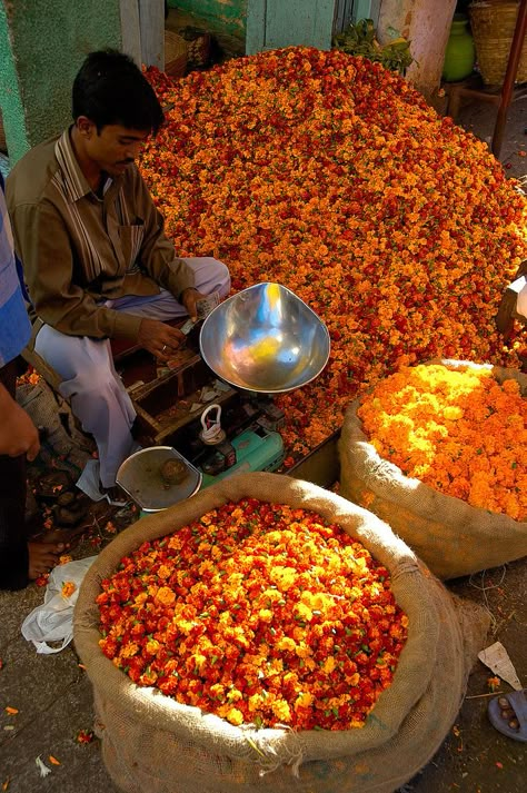 Selling flowers on the Devaraja market in Mysore, Southern India Flowers Market, South Asian Aesthetic, Desi Love, Indian Flowers, Arabian Beauty, Nothing But Flowers, Indian Culture, We Are The World, Indian Aesthetic