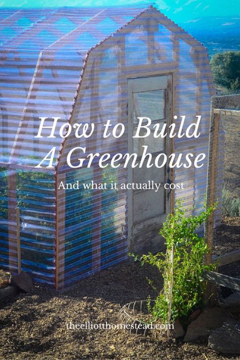 Homemade Greenhouse, Greenhouse Farming, Diy Greenhouse Plans, Outdoor Greenhouse, Build A Greenhouse, Backyard Greenhouse, Greenhouse Plans, Diy Greenhouse, Garden Greenhouse