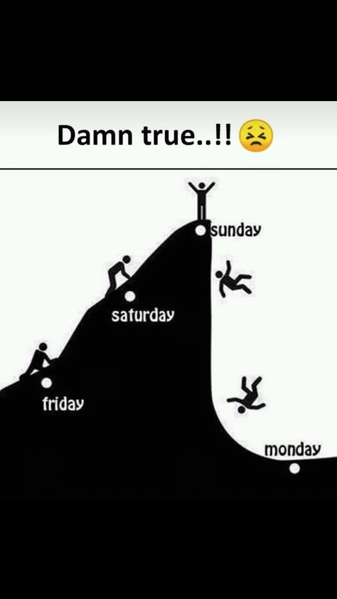 I don't like Sunday cause Monday is the next day. Sunday Status, Sunday Quotes Funny, Exams Funny, Very Funny Memes, Jokes Images, Hilarious Jokes, Funny Statuses, Funny School Jokes, Hindi Jokes