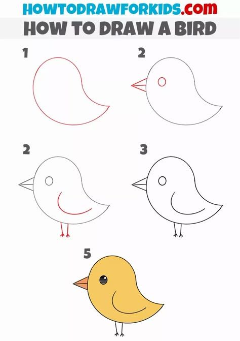 Cute Bird Drawing Simple, Bird Worksheet, Drawing Birds Easy, Bird Drawing For Kids, Draw Bird, Robin Drawing, Draw A Bird, Birds Diy, Birds For Kids