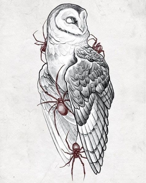 Owl Skull Drawing, Scary Owl Tattoo, Owl And Crow Tattoo, Owl And Raven Tattoo, Raccoon Skull Tattoo, Owl Design Drawing, Mandela Sketches, Owl Tattoo Stencil, Great Horned Owl Tattoo