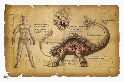 Rust Monster Magical Creatures Mythology, Mystical Creatures Mythology, Fantasy Creatures Mythology, Harry Potter Creatures, Folklore Art, Myths & Monsters, Mythical Monsters, Mythology Art, Fantasy Creatures Art