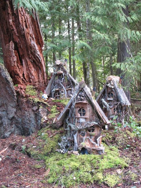 Fairy houses! Gnome Home, Fairy Homes, Fairy Village, Fairy Home, Fairy Furniture, Faeries Gardens, Fairy Tree, Fairy Crafts, Gnome House