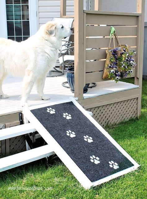 Outdoor Dog Ramp Our loveable lug Great Pyrenees is going on eight years old, and like most other giant breeds he is starting to slow down a little bit.  We first noticed he wasn’t able to leap into the truck anymore so now Hubs hoists him in, then he hurt himself on the hardwood floors, ... Read More about  DIY Dog Ramp Dog Ramp For Stairs, Diy Dog Ramp, Dog Ramp Diy, Diy Dog Wheelchair, Dog Ramp For Car, Dog Ramp For Bed, Pet Ramp, Dog Pool, Giant Breeds