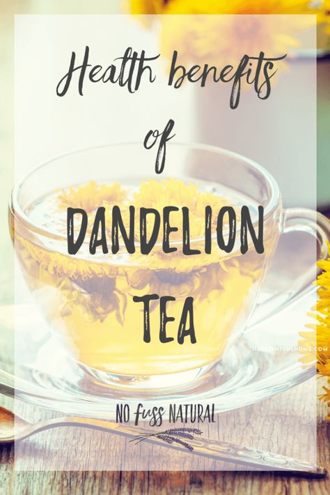 Some of the benefits of dandelion tea are detox of the liver, support in weight loss efforts, and cleanses the kidneys, bladder, and urinary tract, but that’s not all! Read here to learn more about the benefits of dandelion tea, how to make it three different ways, and even where to buy if you aren’t able to find it locally. #dandeliontea #detox #liverdetox Dandelion Remedies, Benefits Of Dandelion, Tea Facts, Dandelion Benefits, Dandelion Root Tea, Fruit Infused Water Recipes, How To Brew Kombucha, Dandelion Tea, Tea Health Benefits