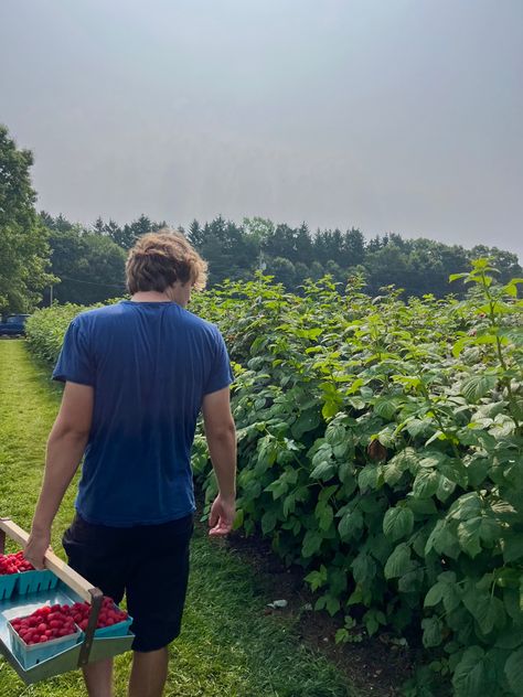 Raspberry picking | summer aesthetic | fun summer activity | outdoors | aesthetic nature | outdoors date ideas Strawberry Picking Date, Outdoorsy Date Ideas, Granola Relationship Aesthetic, Flower Picking Date, Fun Dates Aesthetic, Summer Dates Aesthetic, Cottagecore Couple Aesthetic, Cottagecore Boy Aesthetic, Summer Date Ideas Aesthetic