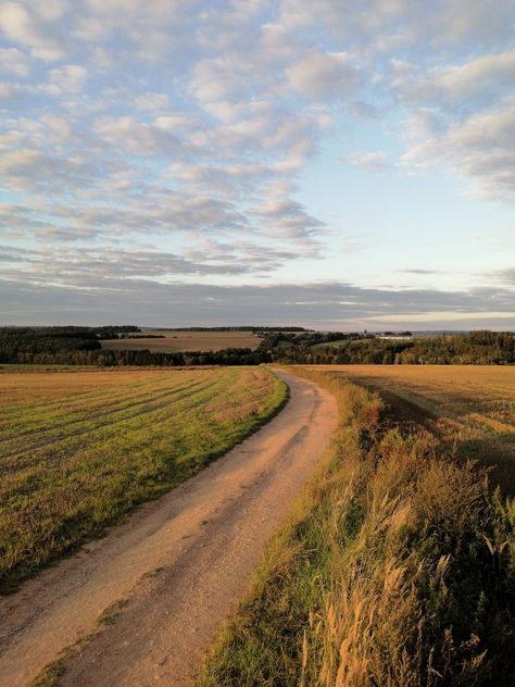 Country Field Aesthetic, Country Roads Aesthetic, Country Road Aesthetic, Grassy Field Aesthetic, Sunset Field Aesthetic, Farmland Landscape, Field Aesthetic, Sunset Field, Farm Fields