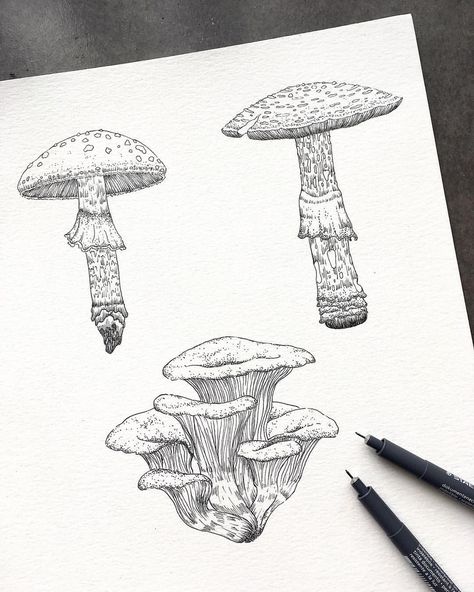 Oyster Mushroom Illustration, Mushroom Ink Drawing, Oyster Mushroom Drawing, Mushroom Pen Drawing, Fungi Illustration, Black Pen Drawing, Stippling Drawing, Wolf Art Print, Ballpoint Pen Drawing